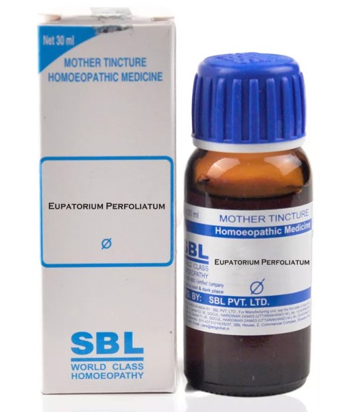 Eupatorium Perfoliatum